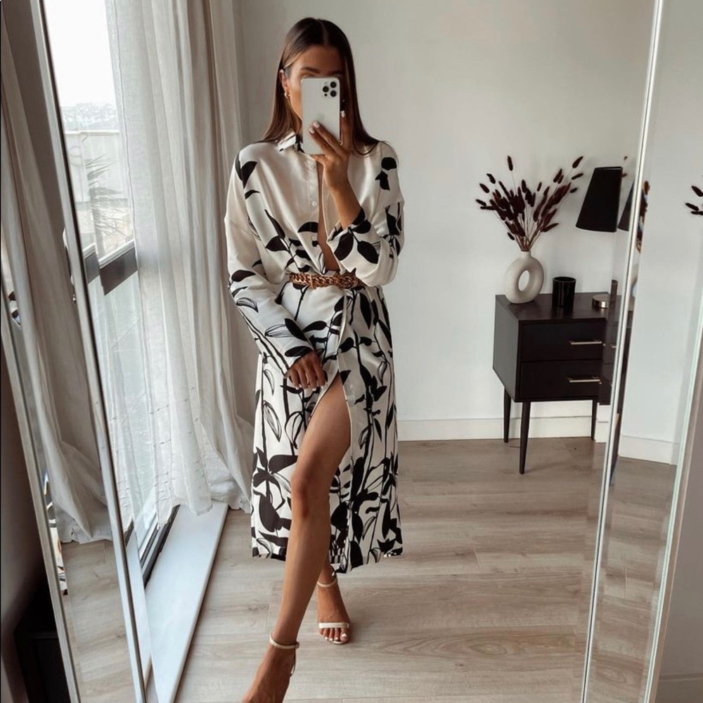 Zara dress